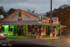 The Green Parrot at dusk.