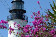 The lighthouse through bouganvilla.