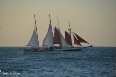 Sunset sails.