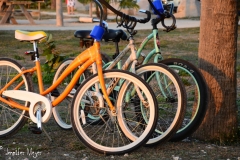 Unfortunately, we never had time to rent bikes.