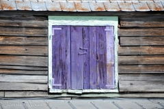 Purple shutters.