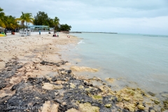 Rocky beach.