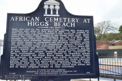 Those who survived were returned to Africa.