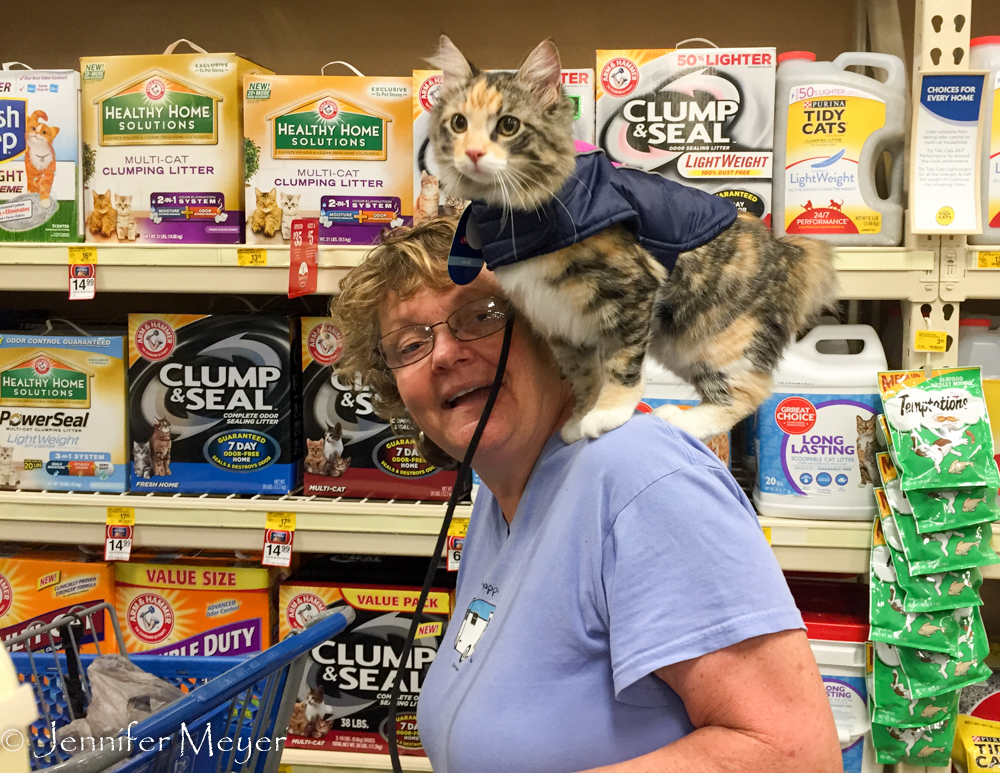 Trying to keep Gypsy contained in Petsmart.