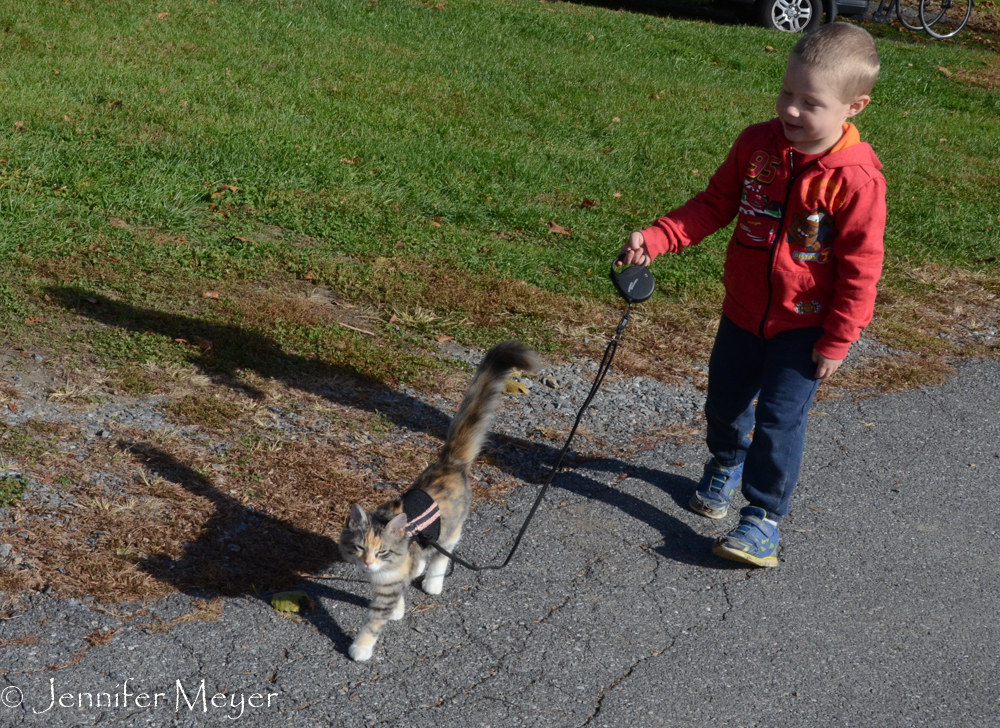 Cooper loved to walk Gypsy.