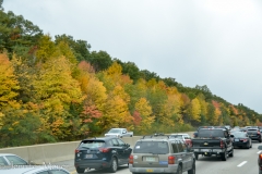 But at least the scenery was pretty.