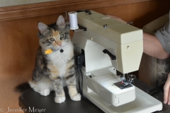 Gypsy makes it a challenge to sew.