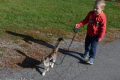 Cooper loved to walk Gypsy.