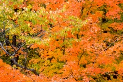 I took some photos out the window.