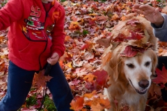 Kate and Cooper played pile the leaves on Bailey.