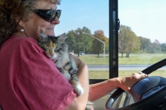 We don't really allow this.