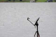 Lonely satellite dish.