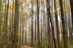 It was so beautiful.