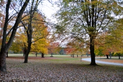It was last day the campground was open.