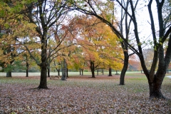 And there was almost no one there.