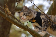 But she just kept going.