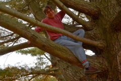 I always did love to climb trees, and this was a great one.