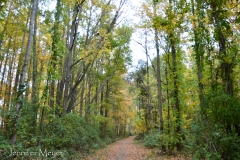 We had time to take the fur kids for a little hike before dark.