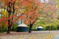 There were yurts at the park.