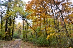 In the morning, I went for a bike ride on the trails.