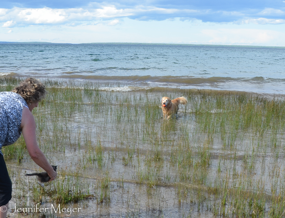 She followed Bailey into the water and Kate had to retrieve her.