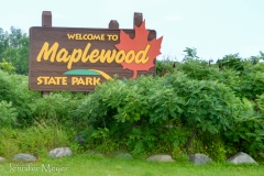 Maplewood is a huge drive-through state park, especially popular in the fall.