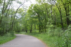 Through maple forests.