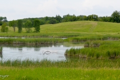 Lagoons...