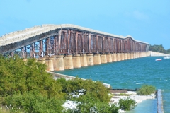 It was built as a railway bridge in the early 1900s, then converted to a road in the 50s.