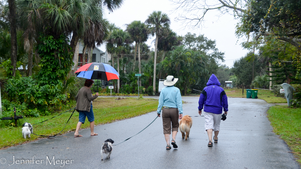 Rain or not, we went for a walk.
