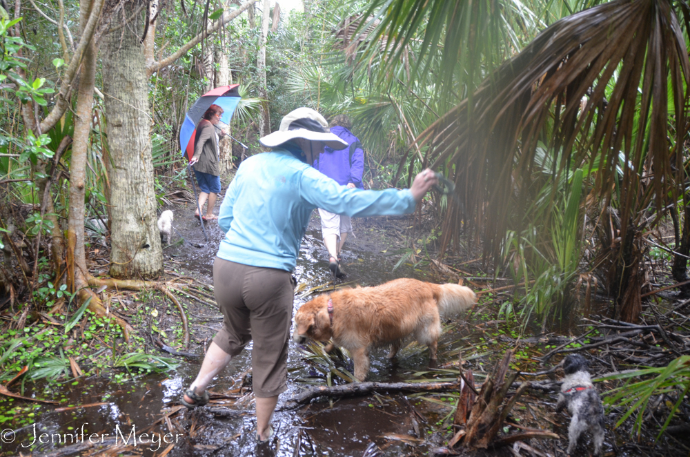 We had to tromp through muck and water.