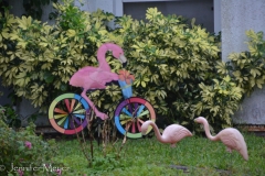 Flamingos are a popular theme.
