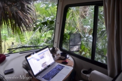 And we were right up against the jungle.