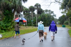 Rain or not, we went for a walk.