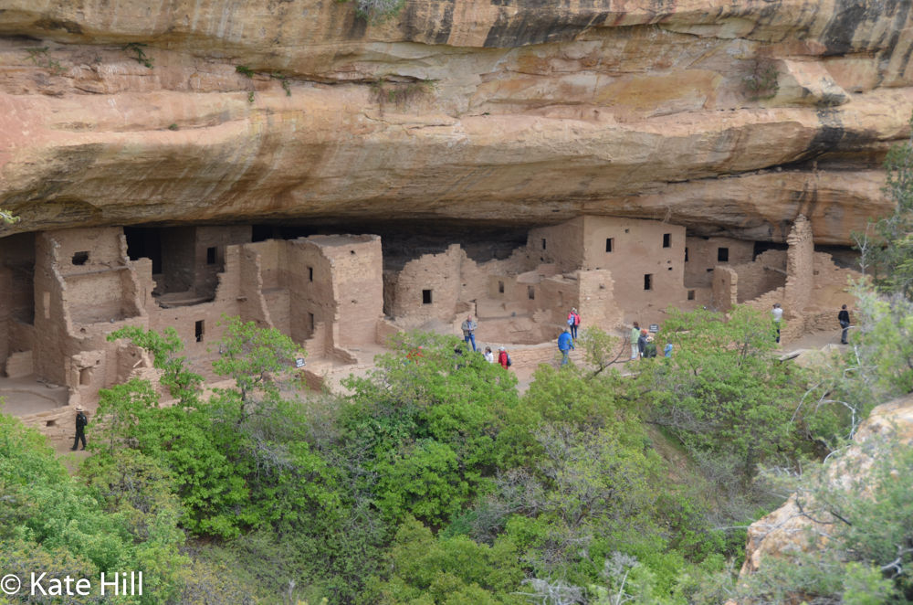 The next morning we went back to the Spruce Tree House.