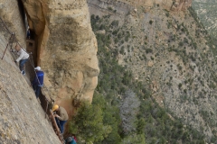 ...while using footholds in the rock to climb up the cliff.