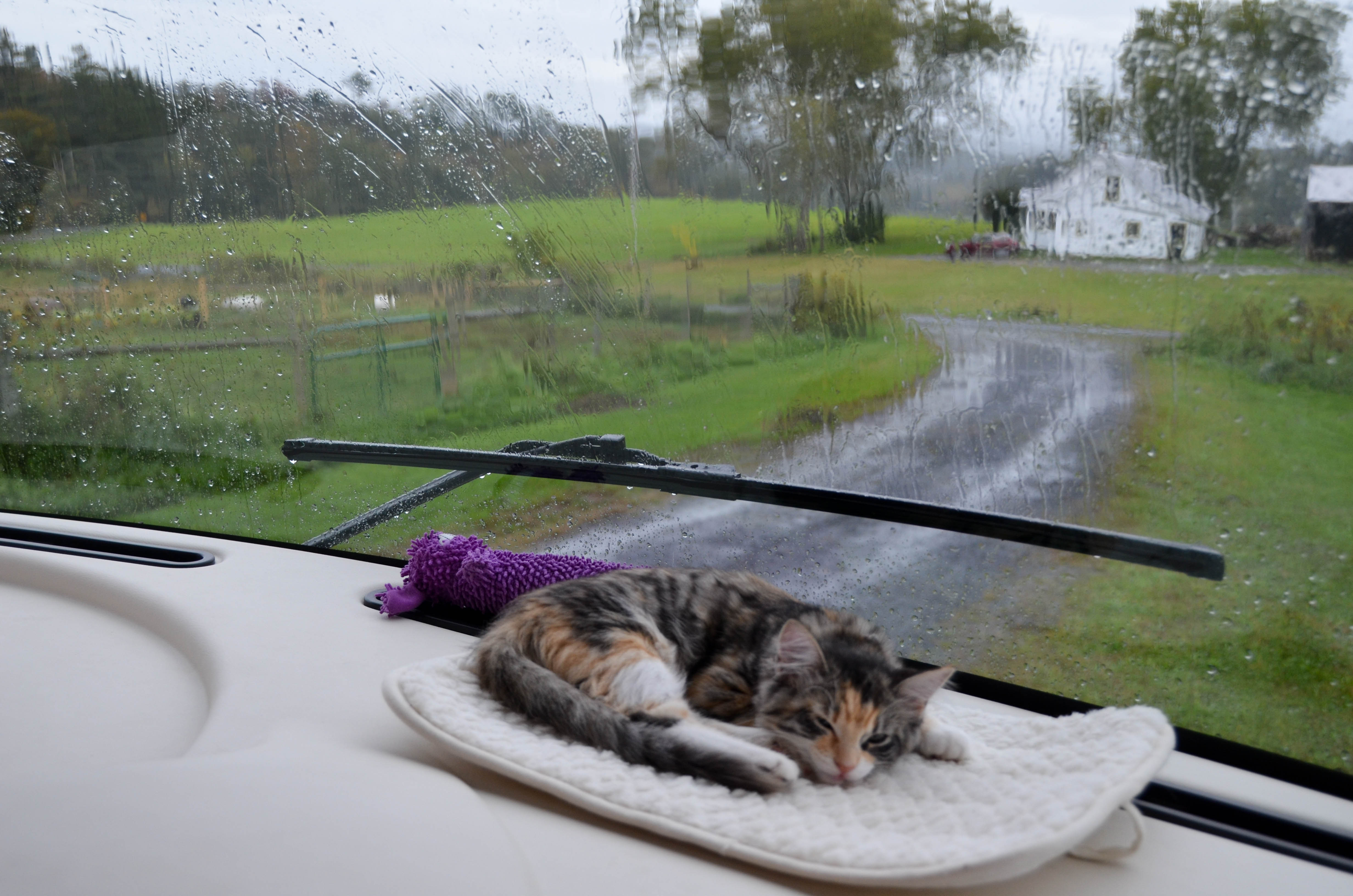 Back in Bessie, it was a cozy rainy day.