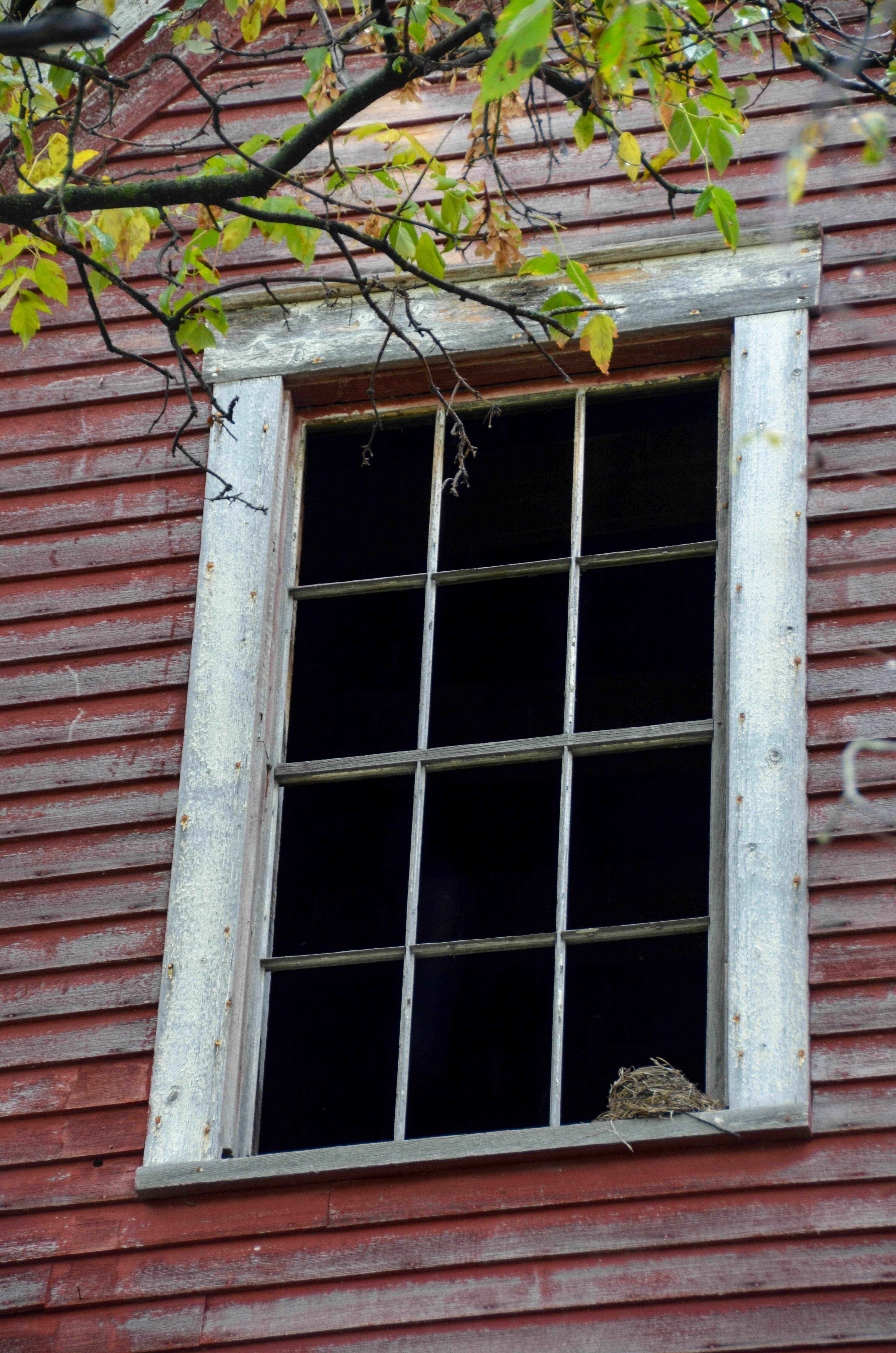 Bird nest in a barn window.