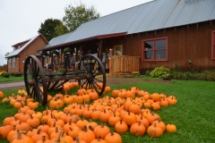 Bragg's Sugar Farm "sugar house" and store.