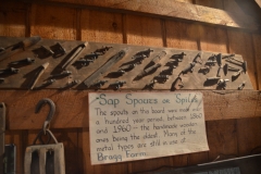 Old-time spouts were hammered into trees.