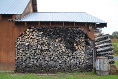 A 4-foot tree log for every gallon of syrup produced.
