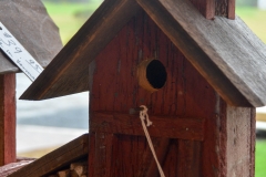 Such a Vermont-like bird house.
