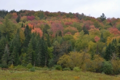 It was a pretty drive, even in the rain.