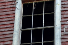 Bird nest in a barn window.