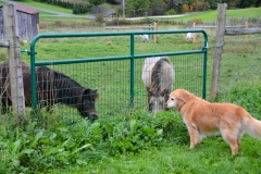 They just looked at each other for a long time.