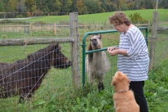 Kate came out with apple pieces.