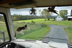 But she was ferocious when it came to catching flies.