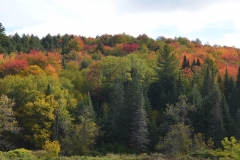 The sun was beginning to peek through.