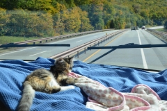 We put a bedspread on the dash to cut down on glare.