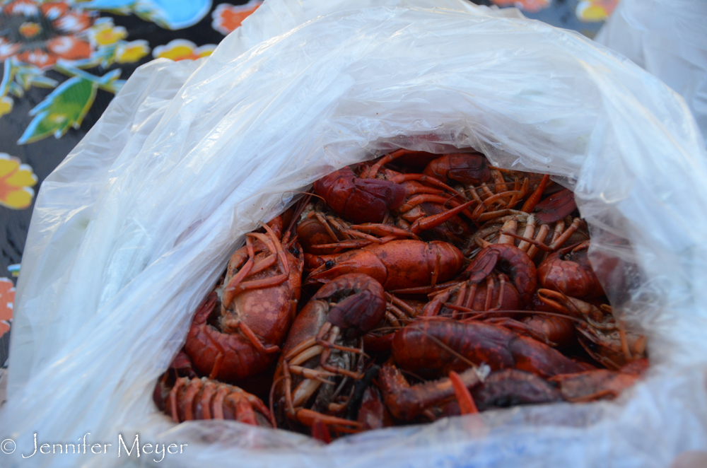 Scott and Chali brought five pounds of boiled crawfish.